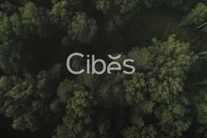 CIBES AIR® kotihissi suunnittelun lähtökohdat