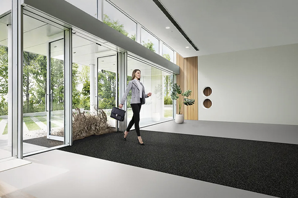 Sisäänkäyntijärjestelmät