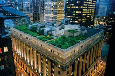 Green Roofs