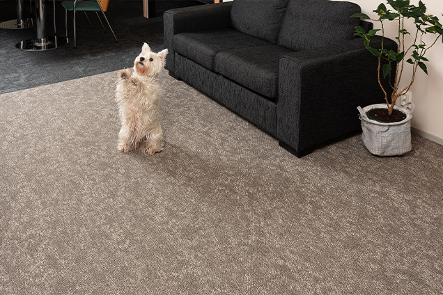 Laadukkaat julkisen tilan tekstiililaatat nyt Rovamatolta