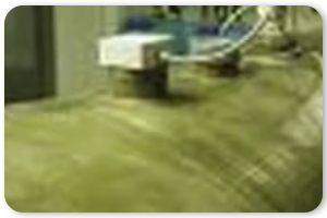 Neutralointijärjestelmät