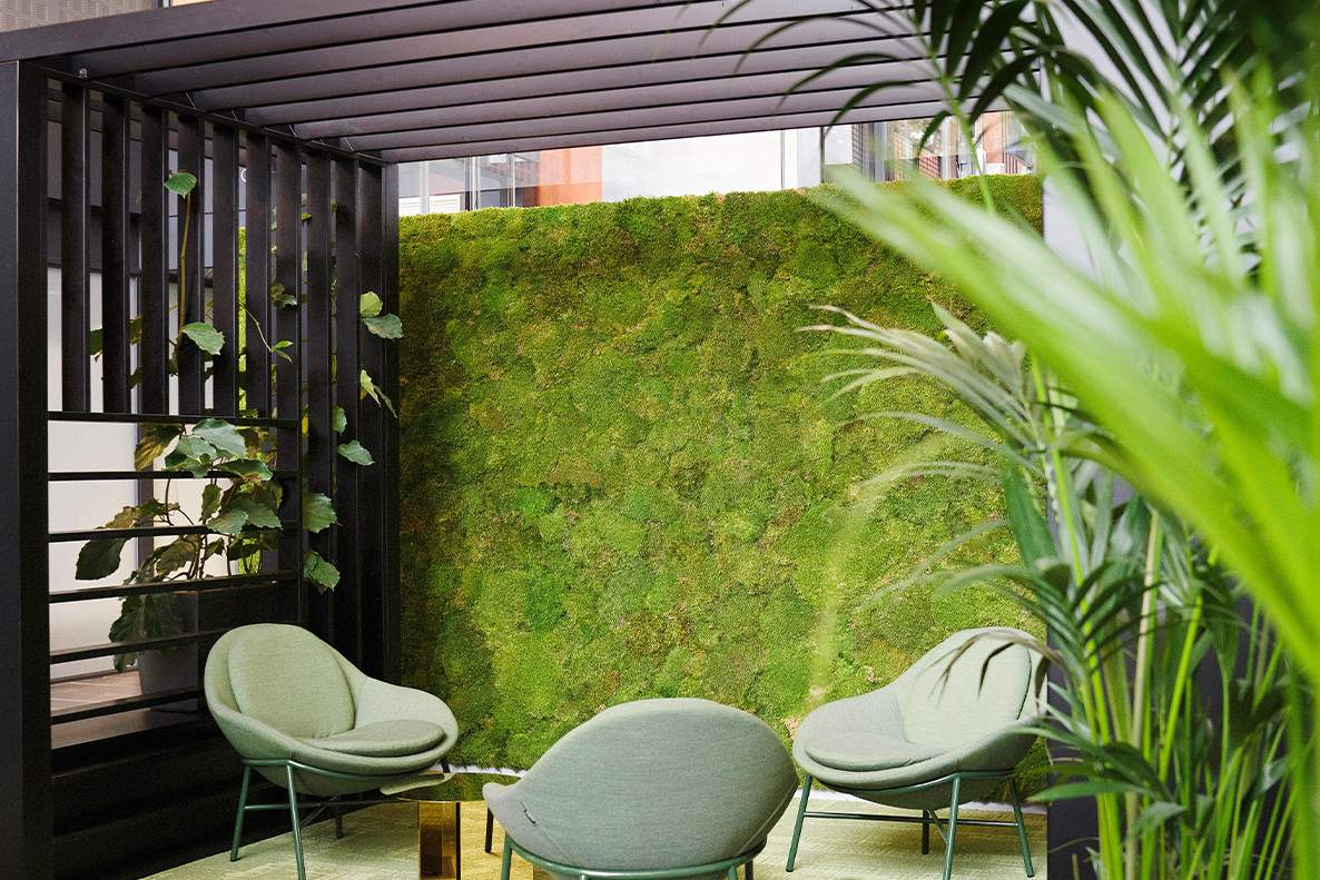 Paranna akustiikkaa vihersisustuksella