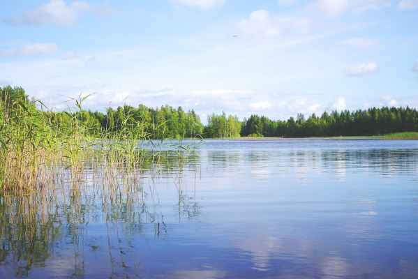 Rakennusfakta toivottaa käyttäjilleen aurinkoista kesää!