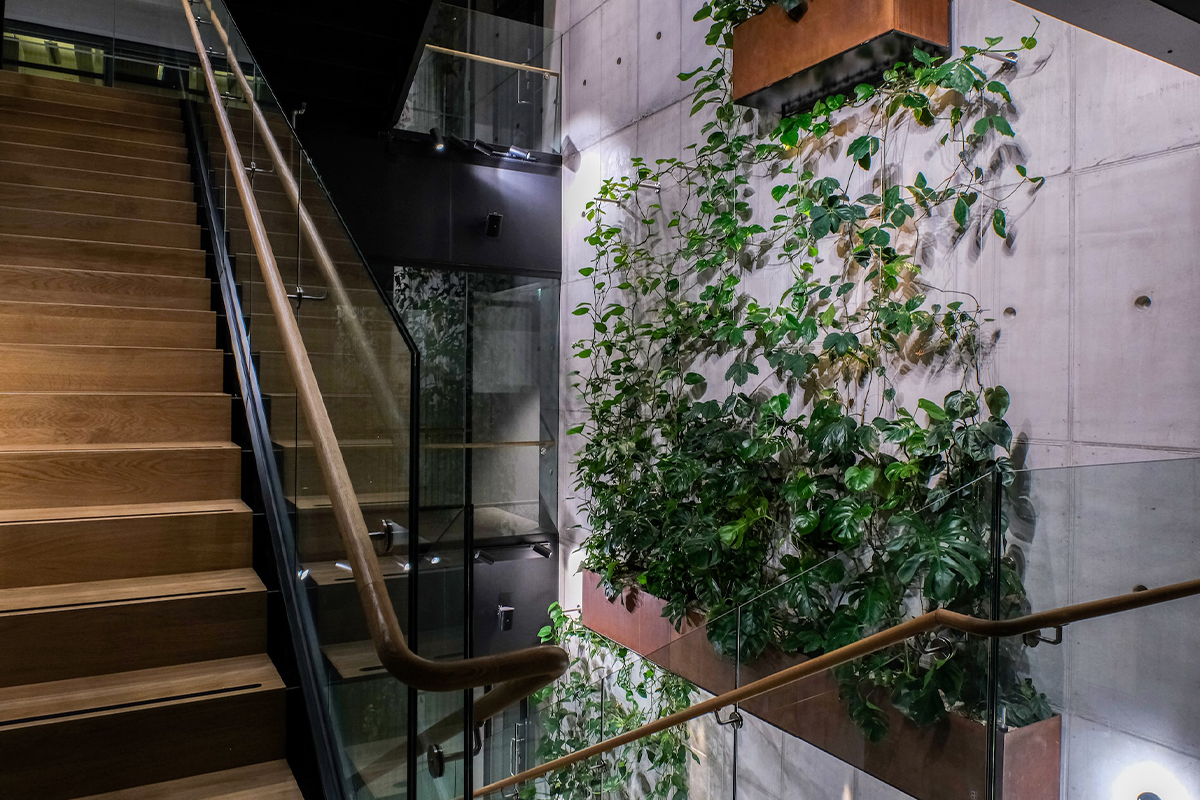 Viherseinän todellinen hyöty