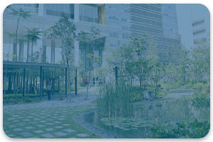 Ympäristö